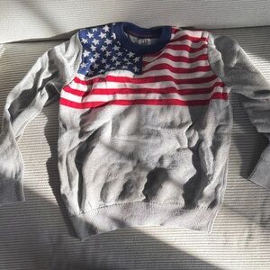 GAP Gray Sweater with American Flag Design